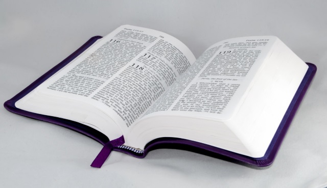 La Sacra Bibbia - Libri storici - Giudici|eBook
